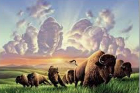 Buffalo Clouds