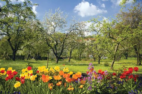 To Spring