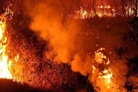 Embered ashes