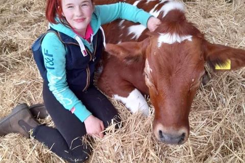 “How now brown Cow!!!”