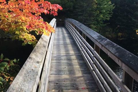 The Bridge of Dreams 
