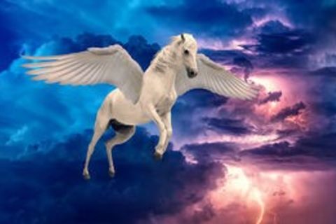 Pegasus