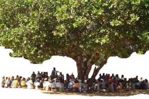 UNDERNEATH THE POETRY TREE