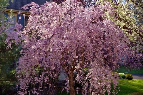 Magical, mystical Mother nature💕