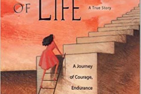 The ladder of life💕