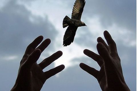 THE DAY FALSE LOVE DIED 