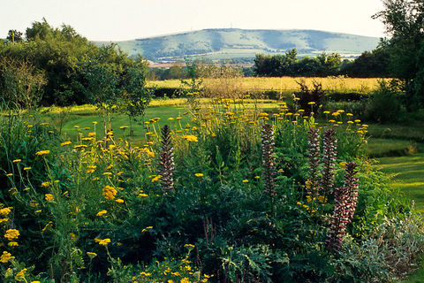 Meandering meadows💕