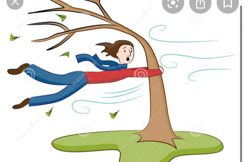 Winded Love 