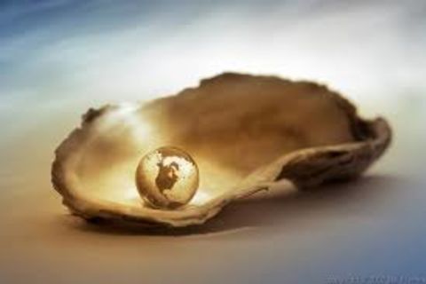 That gem of an oyster 💕