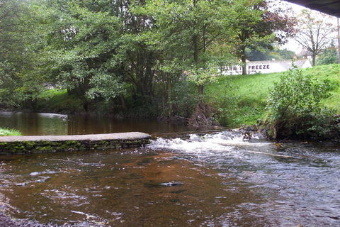 Our little town river 🧅