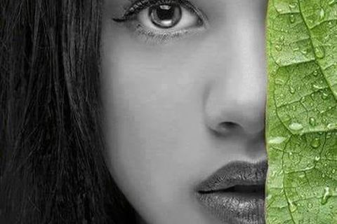 WILLIAMSJI MAVELI WRITES, ECHOES 