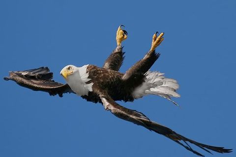 CHANGED IN FLIGHT 