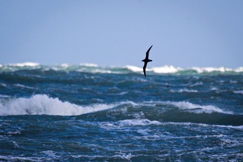 Yon wildness of windiness 💙