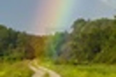 Is there gold at the end of the rainbow 