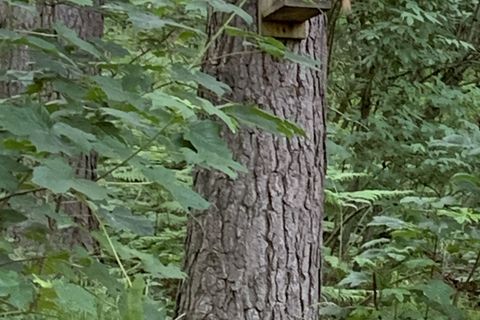 Our absolute delight 🐿