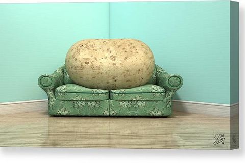 A Couch Potato 🤣