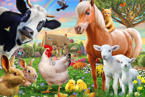 The Farmyard alarm 🐓