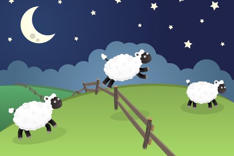 Sleepy leaping Sheep 🐑