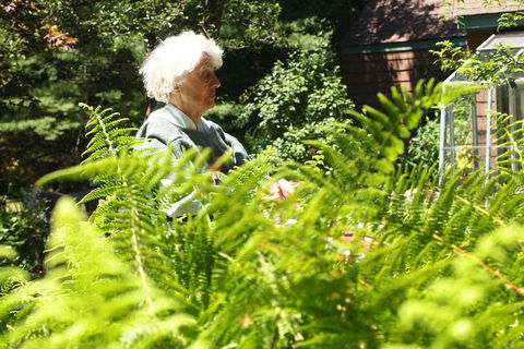 Tucker's Garden