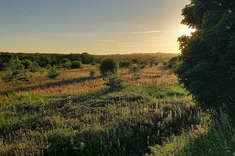 The beautiful hour