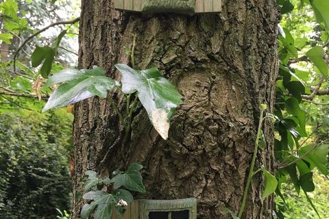 If you go down to the woods today 🤣