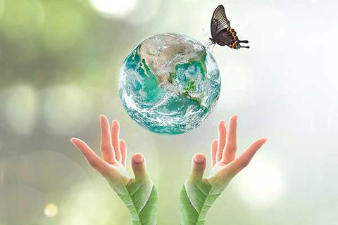 Poetic Mother Earth 🌹