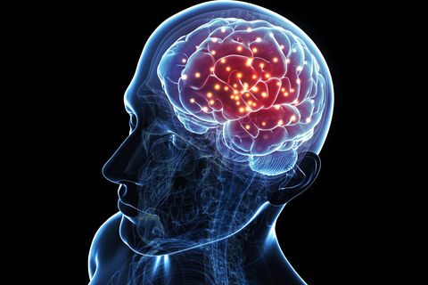 BRAIN WANDERING