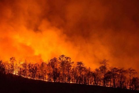 FLAMES Sardinia – Italy (July 2021)