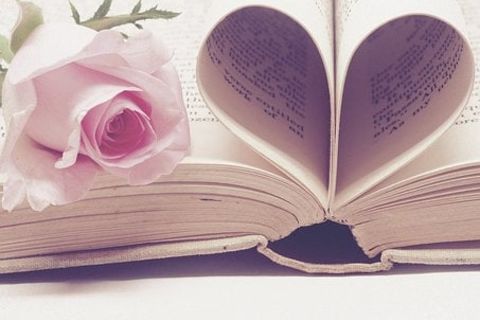 Love Sonnet No 1