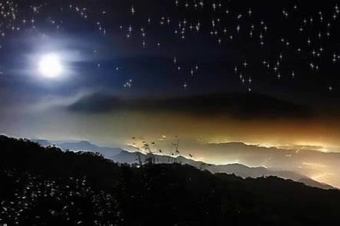 THE SKY AND THE STARS