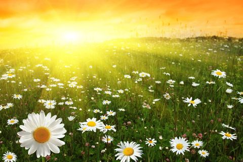 Bright Sunny Day