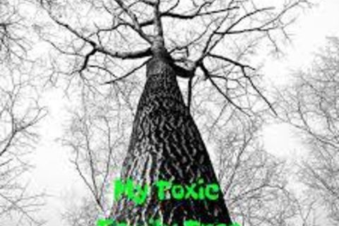 A Forced Forest of Cohabitation