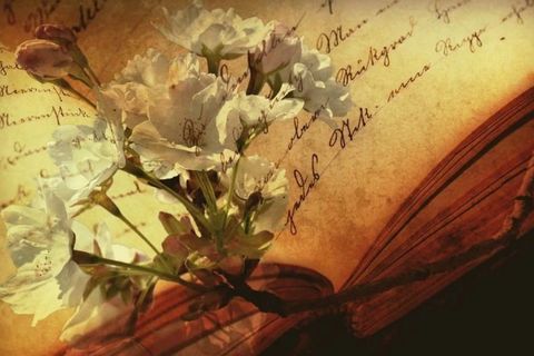 Love Sonnet No:2