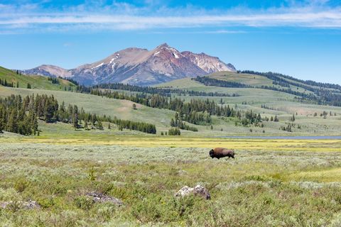 ROCKY MOUNTAIN SKIES