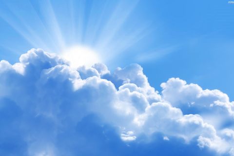 A RAY OF SUNSHINE
