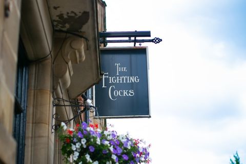 The Fighting Cocks