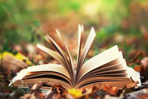 A Nature Book 🦁