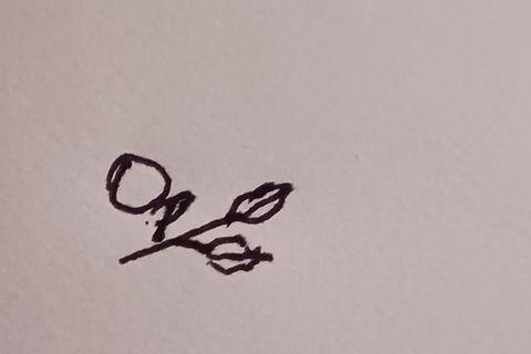 Her Name