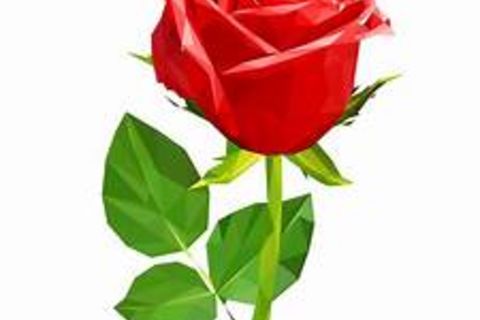I AM ROSE