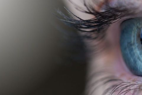 Sight