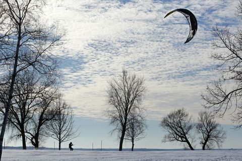 THE WINDS