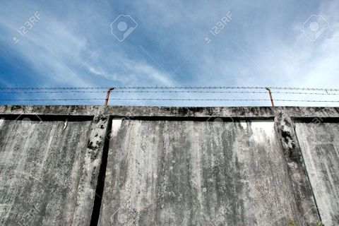 WALLS AND ALL
