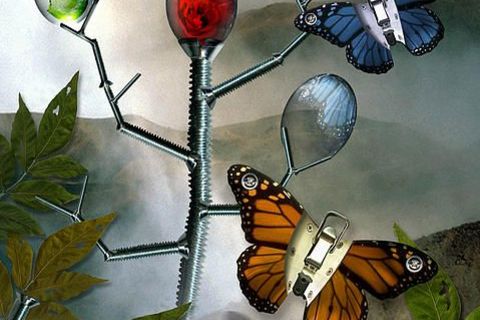 Metamorphosis 