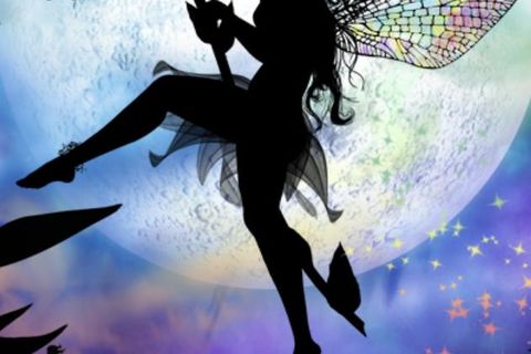 Fairy Fantasia The Belle Of The Ball 🧚