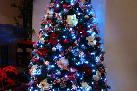 CHRISTMAS TREE