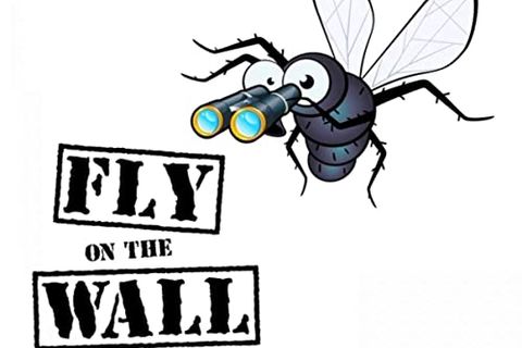 The fly on the wall