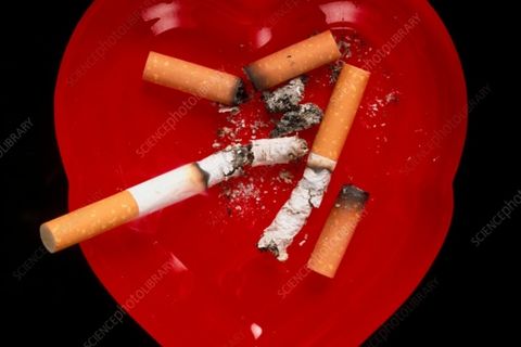 Ashes to Ashes, Lust to Dust 