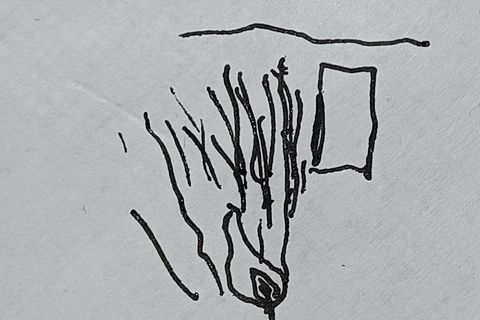 Old Paw
