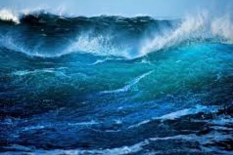 Oh Sensational Sea 💙