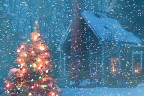 Festive